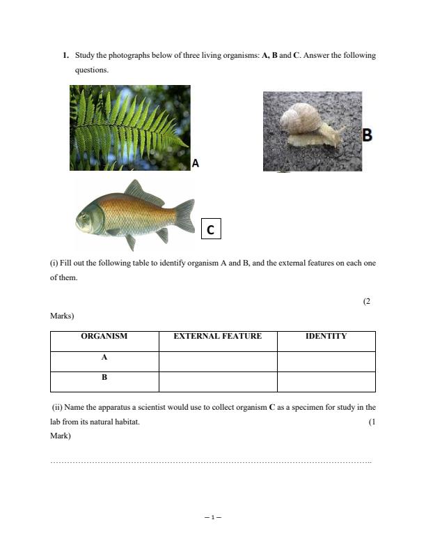 Form-1-Biology-Term-3-Opener-Exam-2024-Version-2_3056_1.jpg