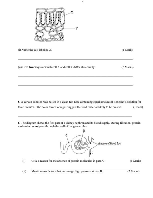 Form-3-Biology-Term-3-Opener-Exam-2024-Version-2_3090_2.jpg