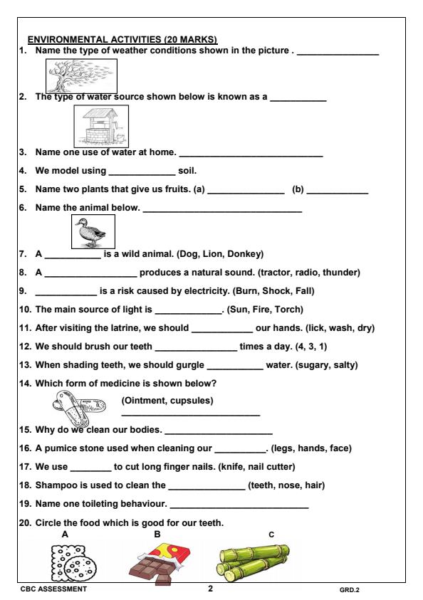 Grade-2-Environmental-Activities-Term-1-Opener-Exam-2025_3494_1.jpg