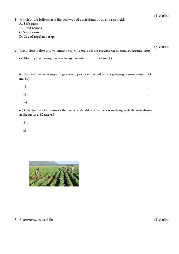 Grade-4-Agriculture--Nutrition-Term-2-Opener-Exam-2024_2470_1.jpg
