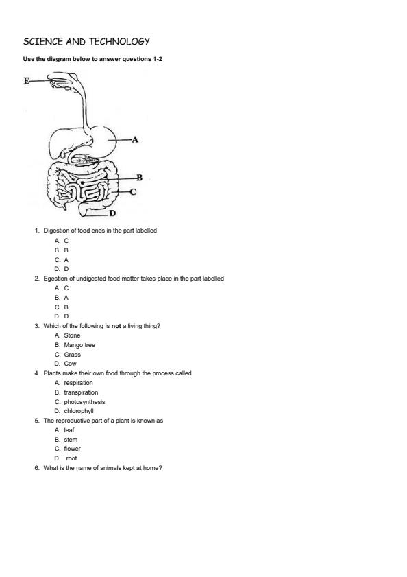 Grade-4-Science-and-Technology-End-of-Term-3-Examination-2024_3398_1.jpg