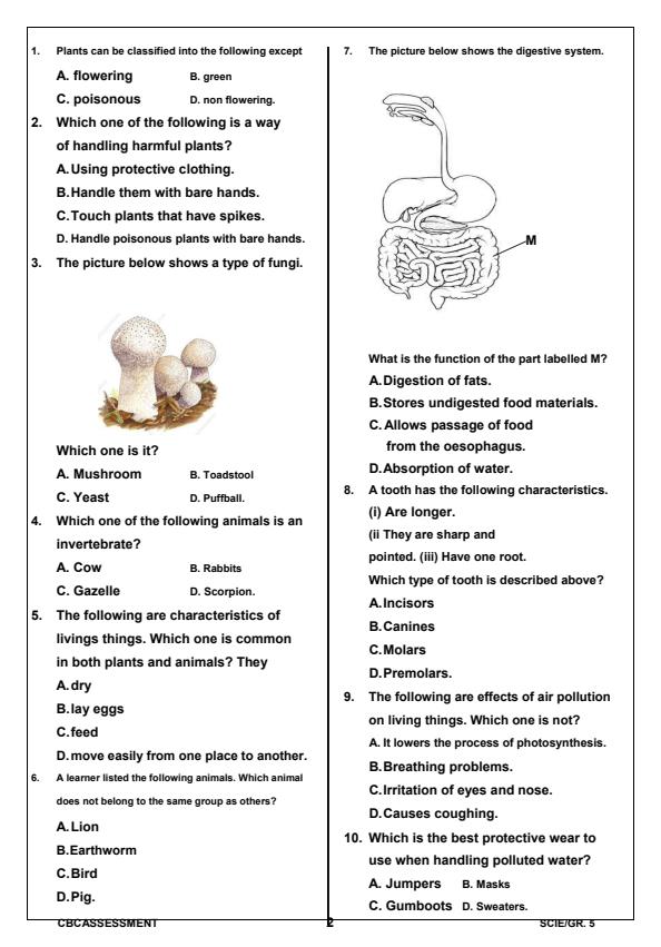 Grade-5-Science-and-Technology-Term-1-Opener-Exam-2025_3525_1.jpg