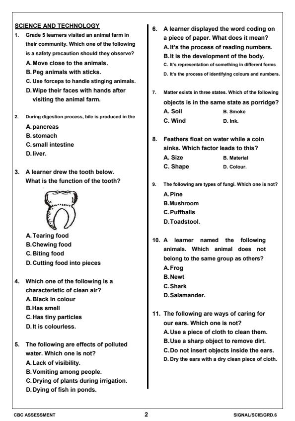 Grade-6-Science-and-Technology-Term-1-Opener-Exam-2025_3536_1.jpg