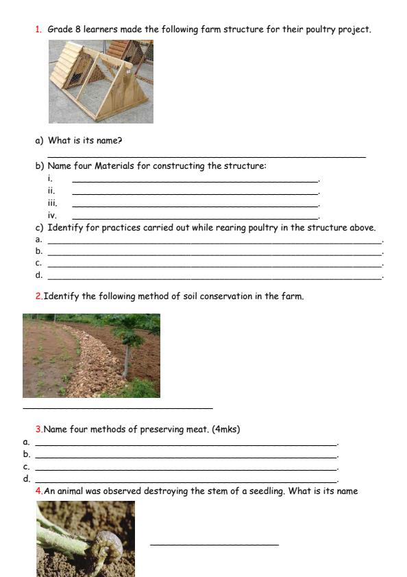 Grade-8-Agriculture-and-Nutrition-Mid-Term-3-Exam-2024_3227_1.jpg