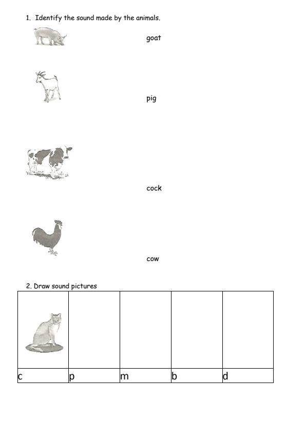 PP1-Language-Activities-End-of-Term-3-Examination-2024_3339_1.jpg