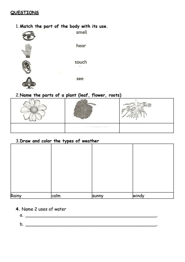 PP2-Environmental-Activities-End-of-Term-3-Examination-2024_3351_1.jpg