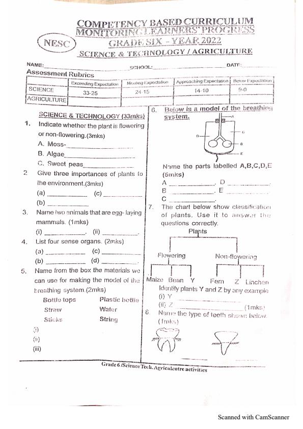 CBC Grade 6 End Term 1 Exam Assessment Test 11597