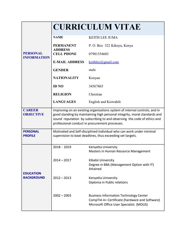 Sample Professional Curriculum Vitae (CV) - 4971