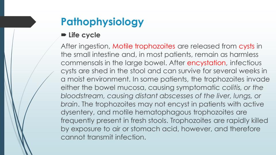 Amoebiasis-Notes-for-Diploma-in-Clinical-Medicine-and-Surgery_13969_2.jpg