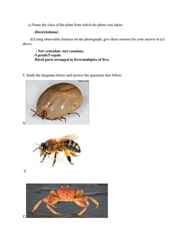 Biology-Classification-II-Topical-Questions-and-Answers_4450_1.jpg