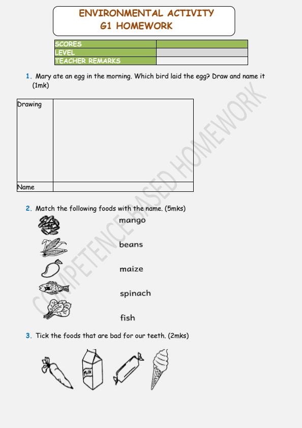 Grade-1-Environmental-Activities-December-2024-Holiday-Assignment_17309_0.jpg