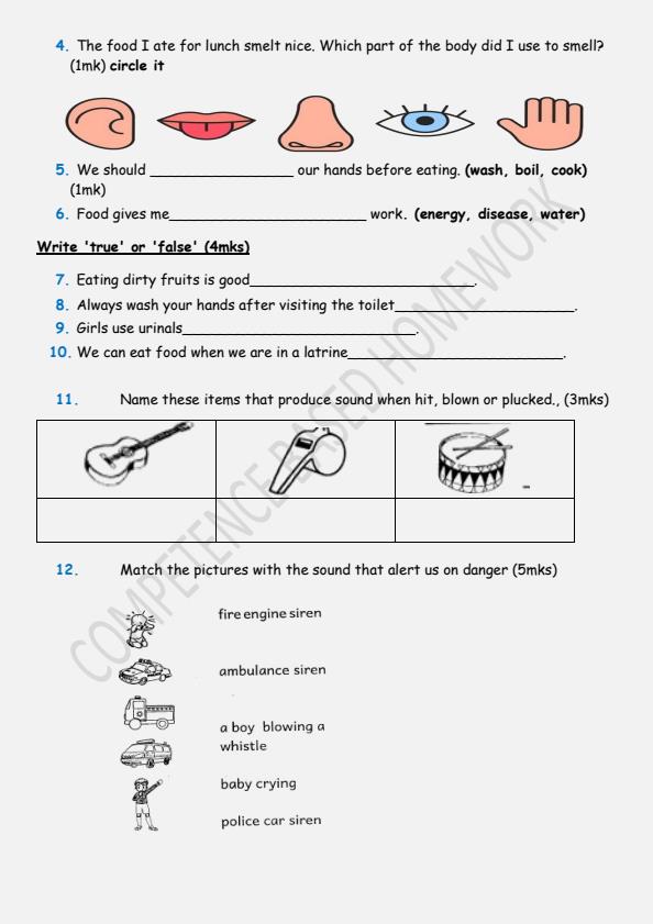 Grade-1-Environmental-Activities-December-2024-Holiday-Assignment_17309_1.jpg