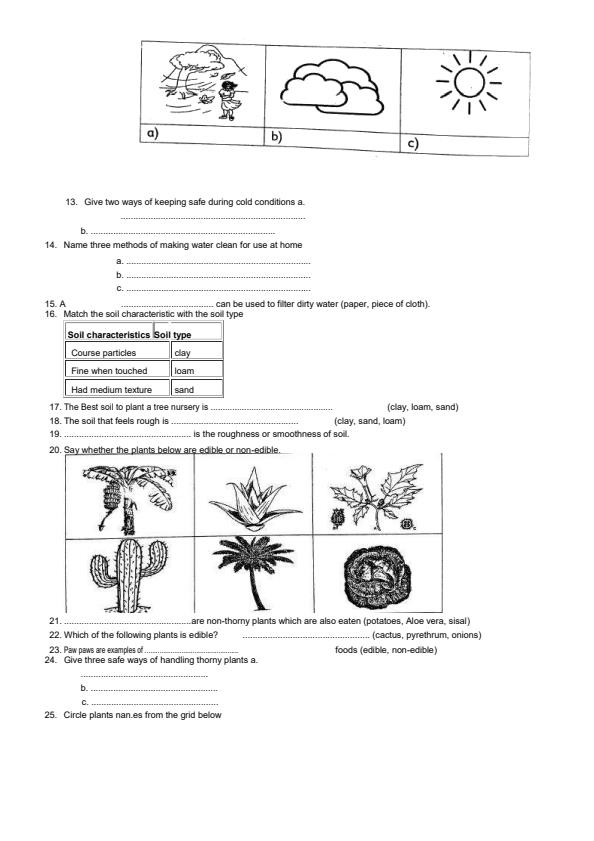Grade-3-Environmental-Activities-Topical-Questions-and-Answers_16651_1.jpg
