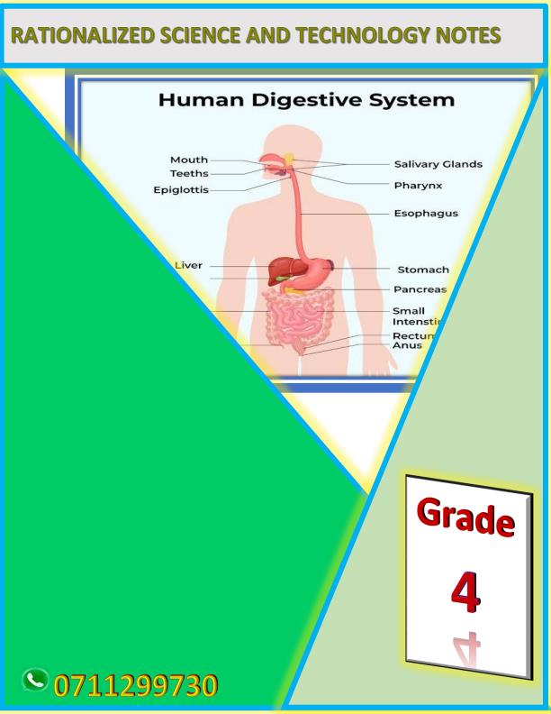 Grade-4-Rationalized-Science-and-Technology-Notes_17194_0.jpg