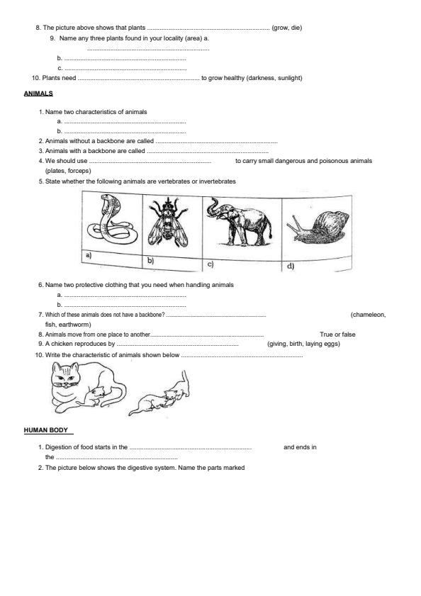 Grade-4-Science-and-Technology-Topical-Questions-and-Answers_16673_1.jpg