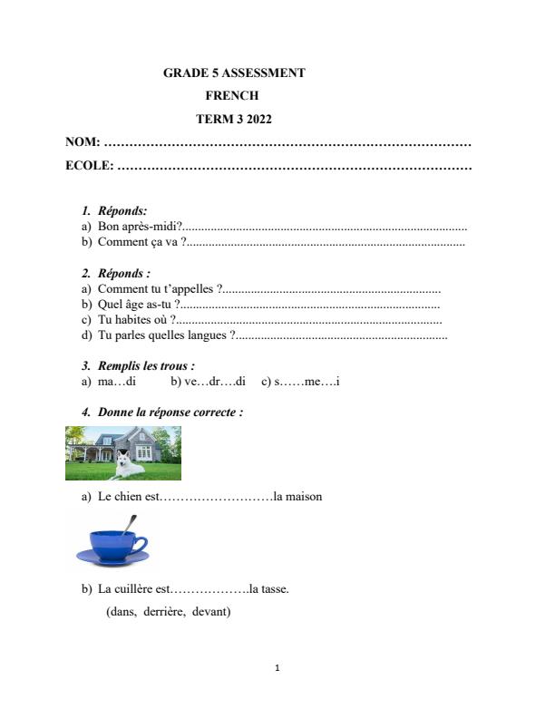 Grade-5-French-Assessment-Test-Term-3-2021_11521_0.jpg