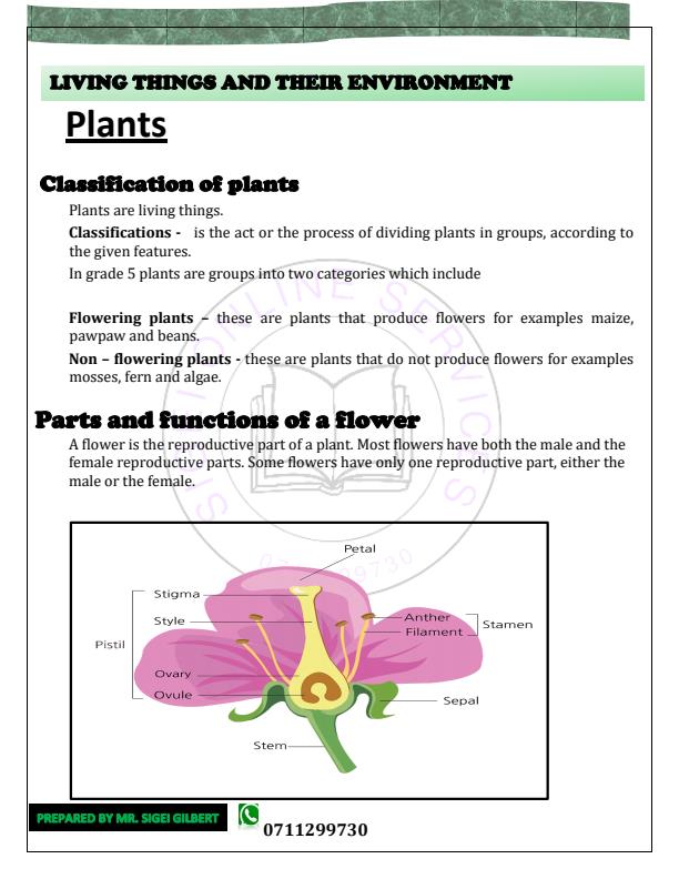 Grade-5-Rationalized-Science-and-Technology-Complete-Notes-Term-1-2-and-3_17211_1.jpg