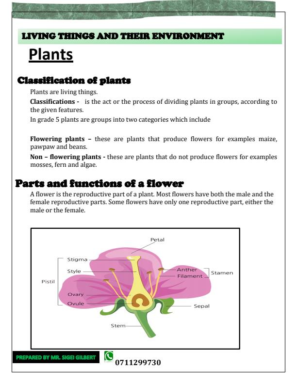 Grade-5-Rationalized-Science-and-Technology-Notes_17211_1.jpg