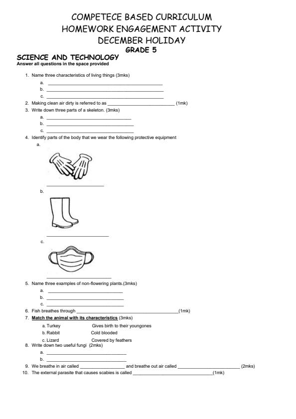 Grade-5-Science-and-Technology-December-2024-Holiday-Assignment_17304_0.jpg