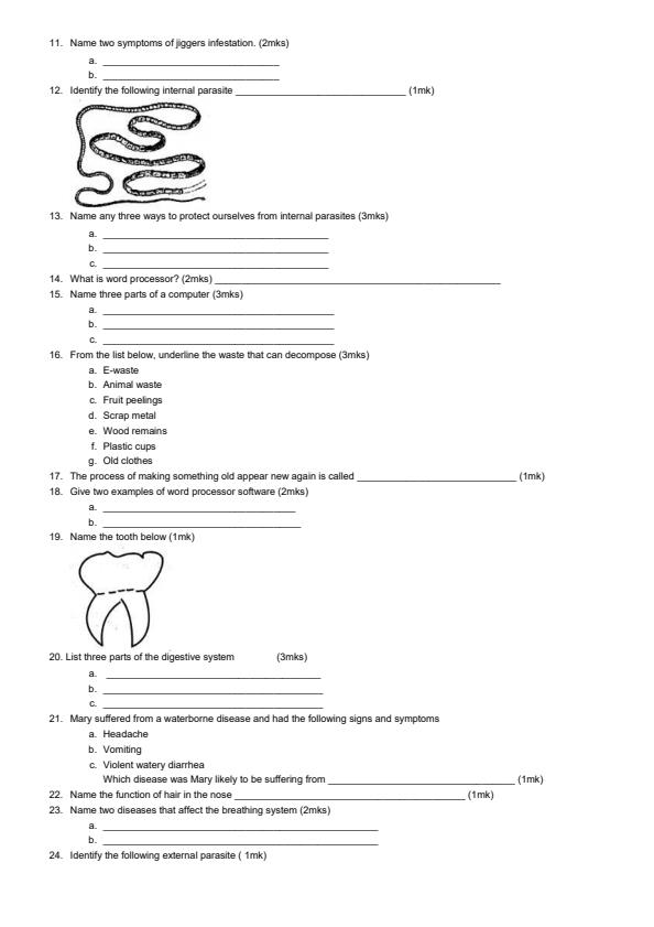 Grade-5-Science-and-Technology-December-2024-Holiday-Assignment_17304_1.jpg