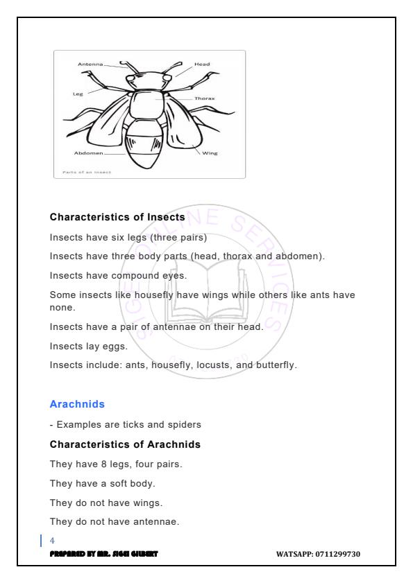 Grade-6-Rationalised-Science-and-Technology-Notes-Term-1-2-and-3_17629_3.jpg