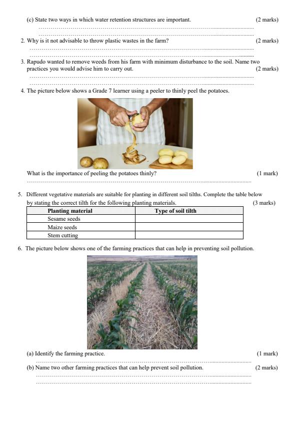 Grade-7-Agriculture-and-Nutrition-December-2024-Holiday-Assignment_17266_1.jpg