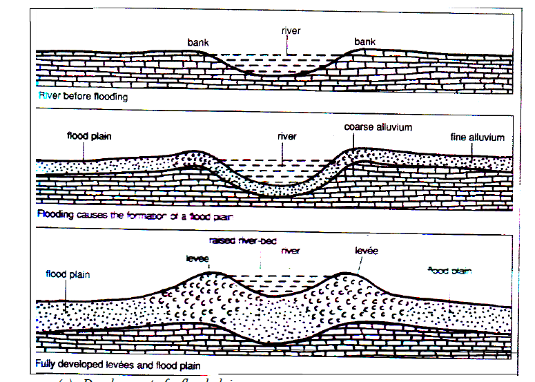alluvial plain diagram