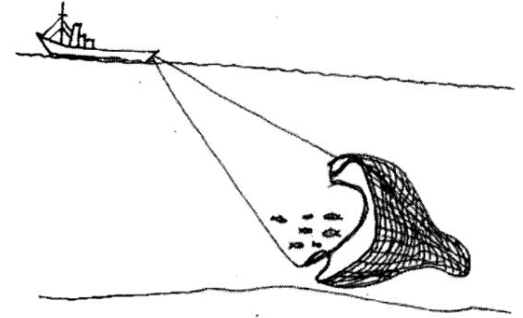 Below is a diagram showing a method of fishing. The method of fishing ...
