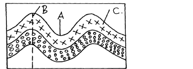 fold mountains diagram