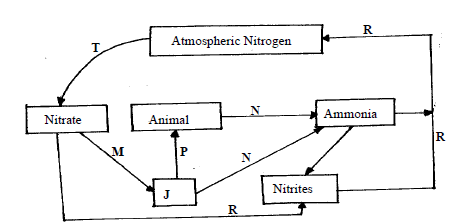 nitrogen.png